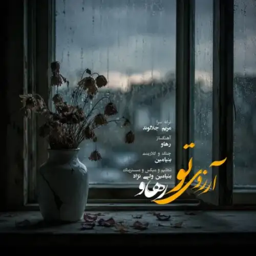 آرزوی تو